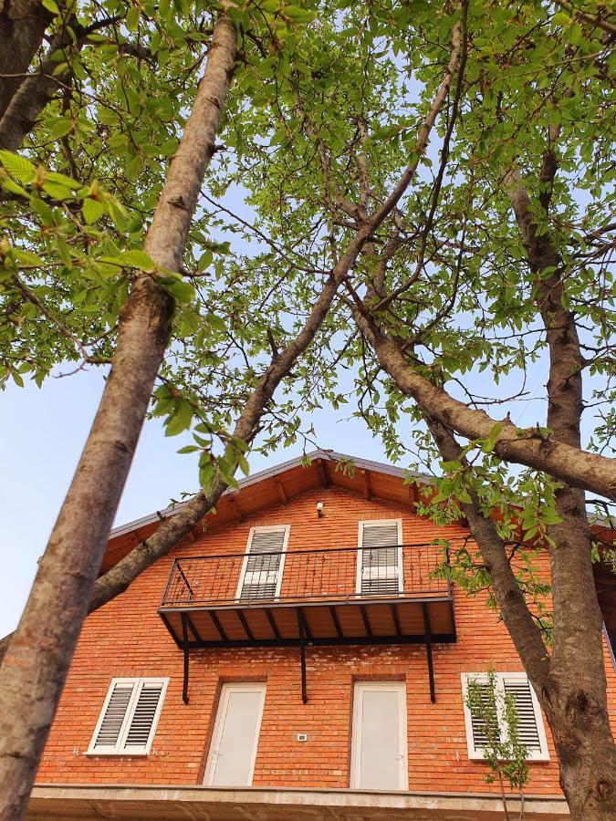 Borealis Guest House Koman Esterno foto